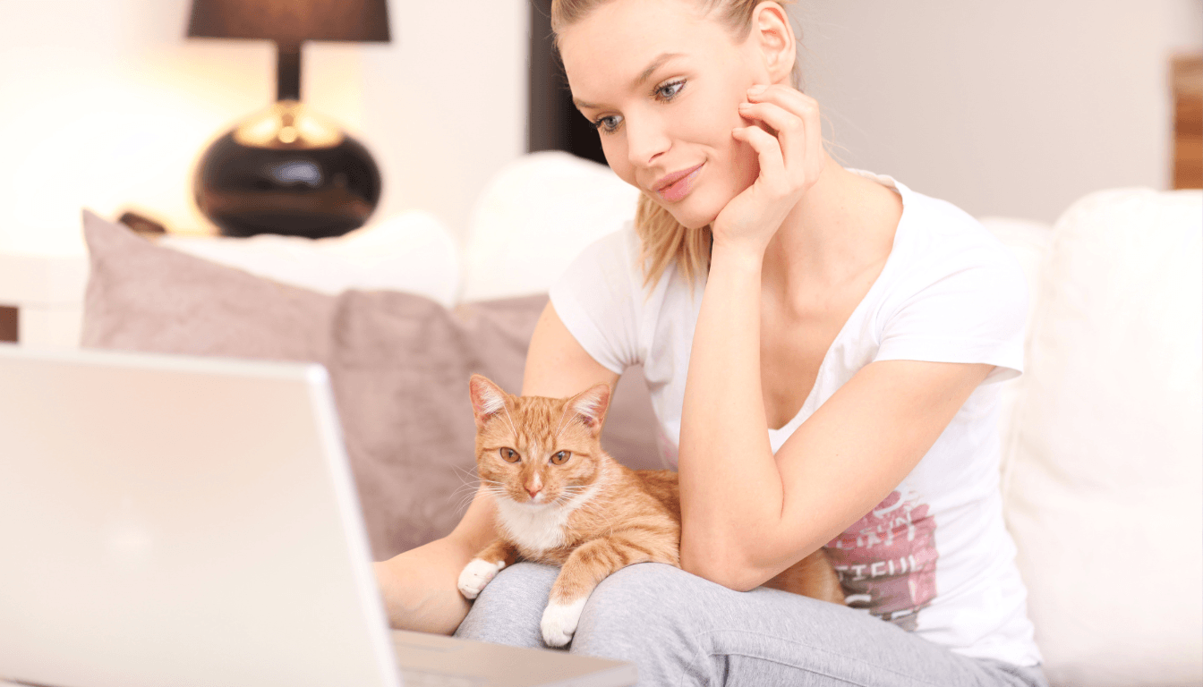 Assurance chat