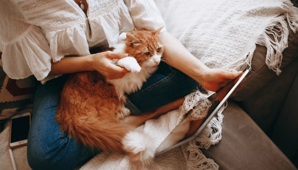 Assurance chat