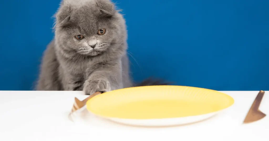 Aliments Toxiques pour les Chats