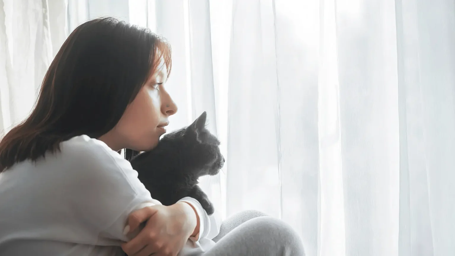 Dépression du Chat