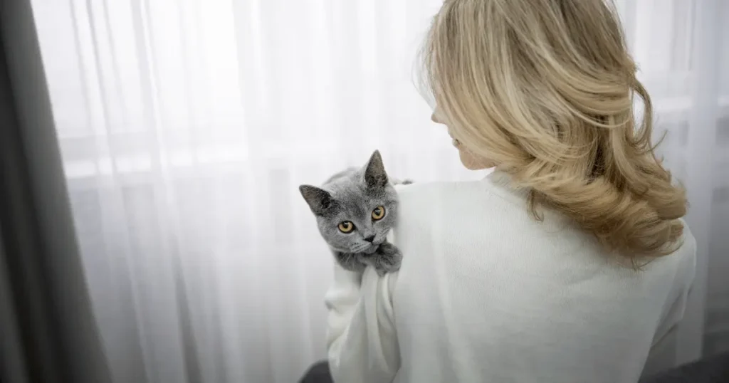 Comportement du chat