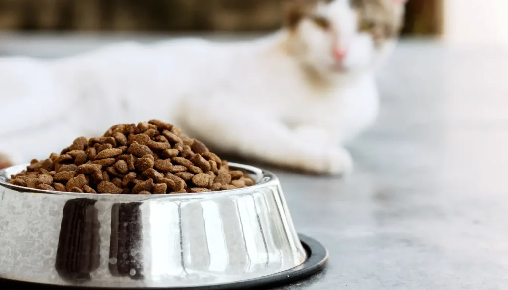 croquettes chat sans céréales