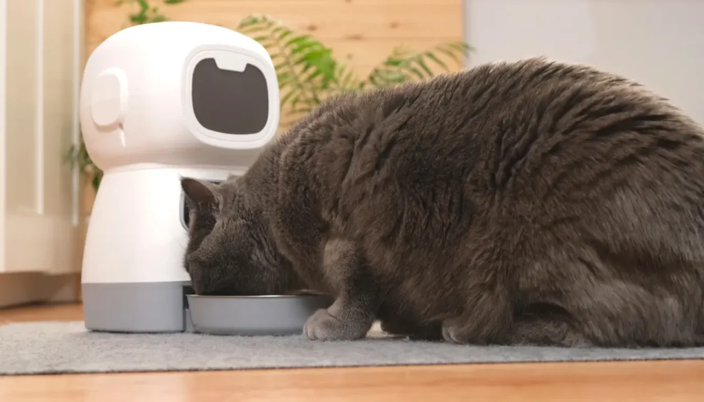 distributeur de croquettes pour chat